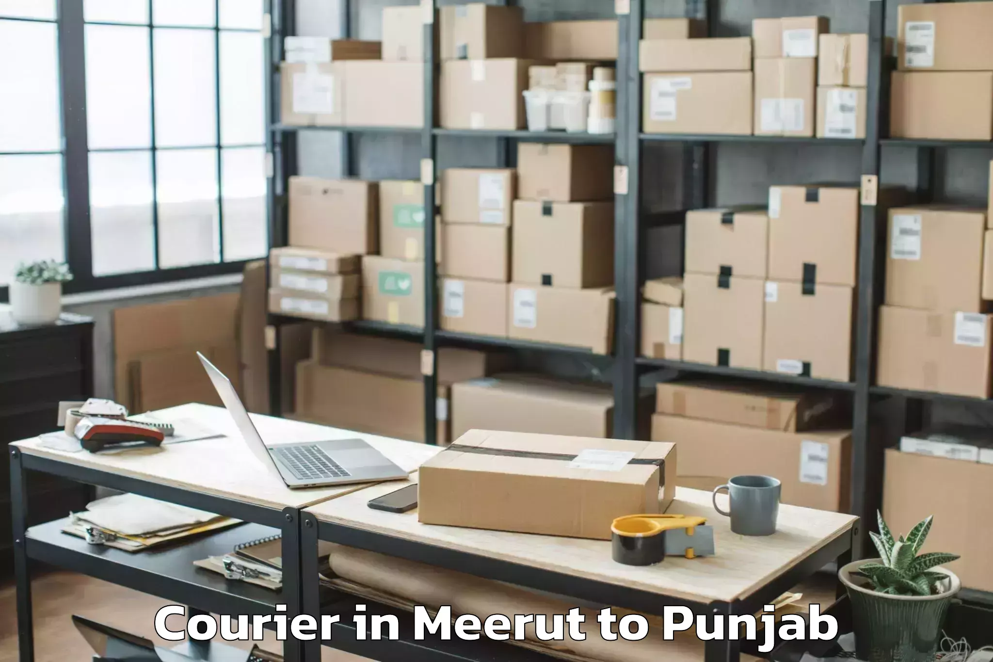 Professional Meerut to Pathankot Courier